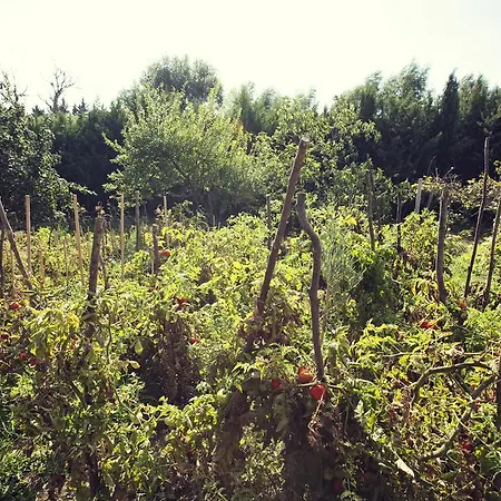 Hotel Cakirkeyif Silivri