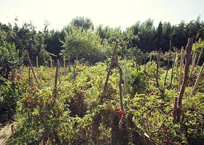 Hotel Cakirkeyif Silivri